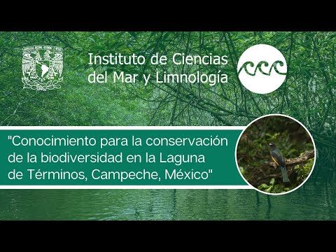 Fauna Marina en Dunas Naturales: Un Viaje de Exploraci&oacute;n