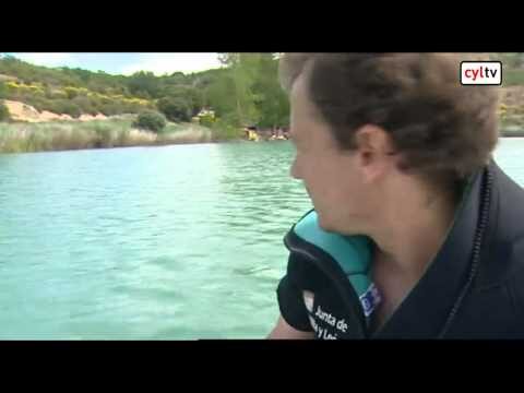 Belleza Segura: Explorando Pantanos y Embalses