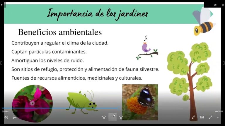 Descanso Natural: Espacios entre Plantas en Jardines Bot&aacute;nicos