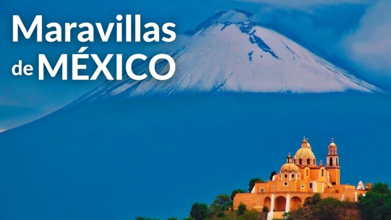 Aventura Inigualable con Fauna Ex&oacute;tica en Parques