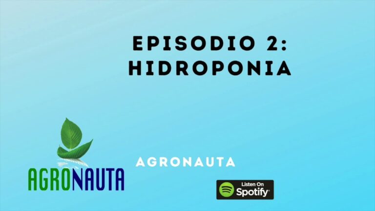 Ventajas de la Hidroponía en Huertos Urbanos