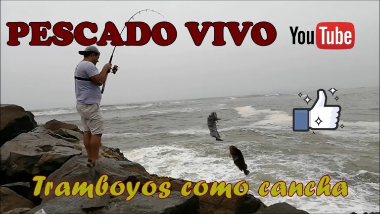 Descubriendo Atractivos Tur&iacute;sticos en Zonas de Pesca Recreativa