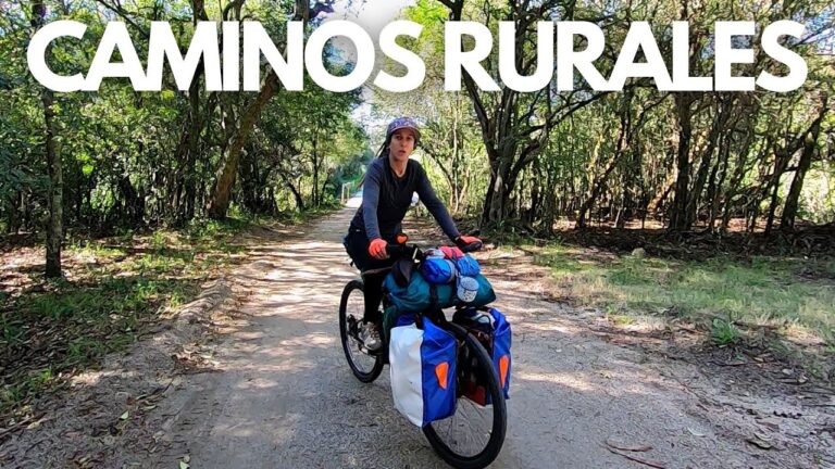 Descubre las Excursiones por Caminos Sinuosos en Parques de Monta&ntilde;a