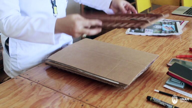 Gu&iacute;a para la Exposici&oacute;n de Plantas en un Herbario Bot&aacute;nico