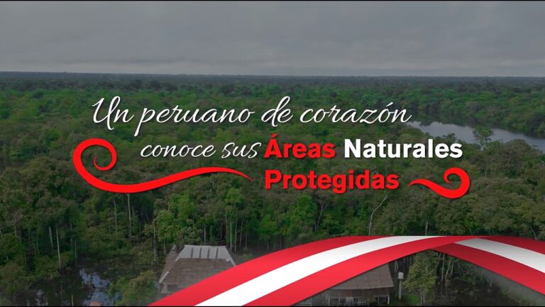 Explorando la Belleza Natural de &Aacute;reas Protegidas