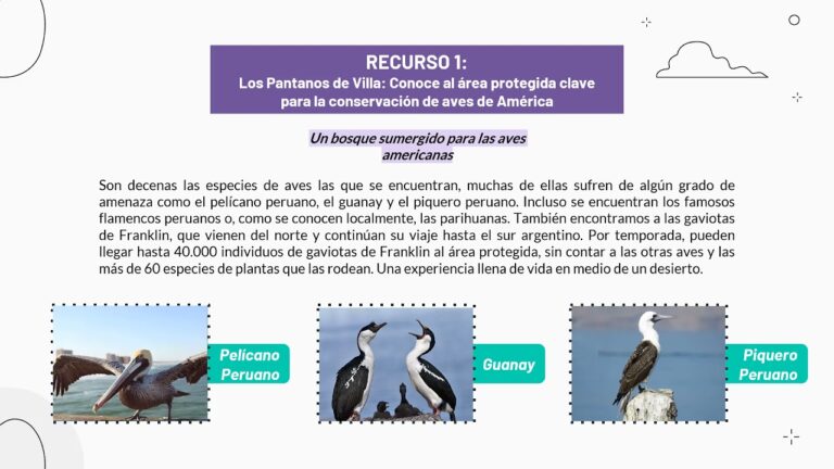 Refugios Naturales: Clave en la Conservación de la Fauna