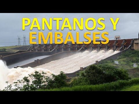 La Importancia del Ecosistema de Pantanos y Embalses