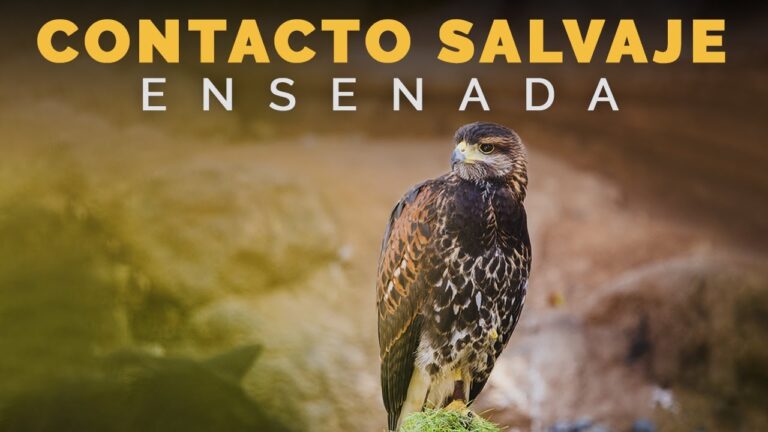Refugios Naturales para la Conservaci&oacute;n de Especies Animales
