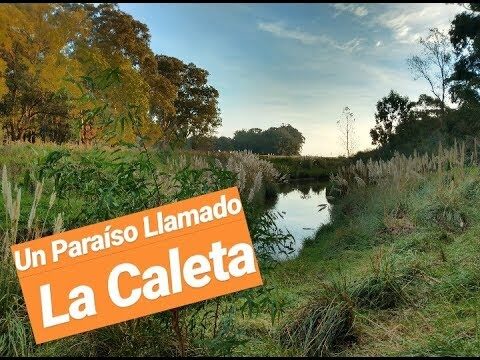 Paseos Costeros: Conexión Natural entre Mar y Zonas Verdes