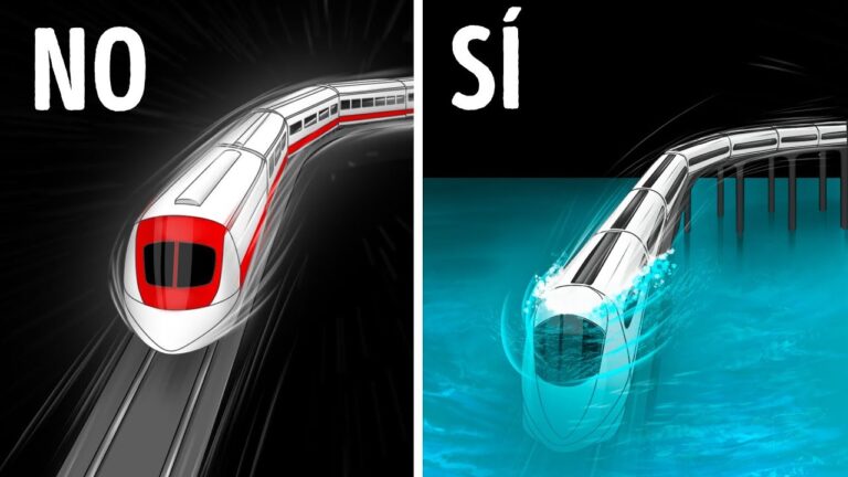 Maravillas Acu&aacute;ticas en Parques de Exhibici&oacute;n