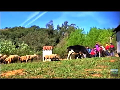 Zonas Verdes Ideales para Ni&ntilde;os