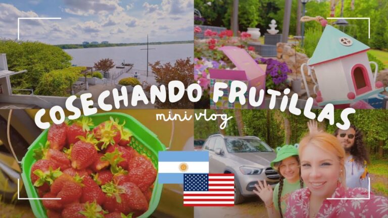 Disfruta de un D&iacute;a de Campo en &Aacute;reas de Merienda