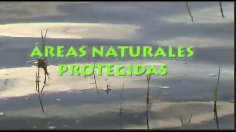 Encuentro con la Vida Silvestre en Reservas Naturales