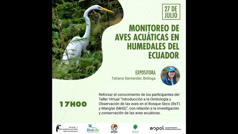 Guía Práctica para la Observación de Aves Acuáticas en Humedales