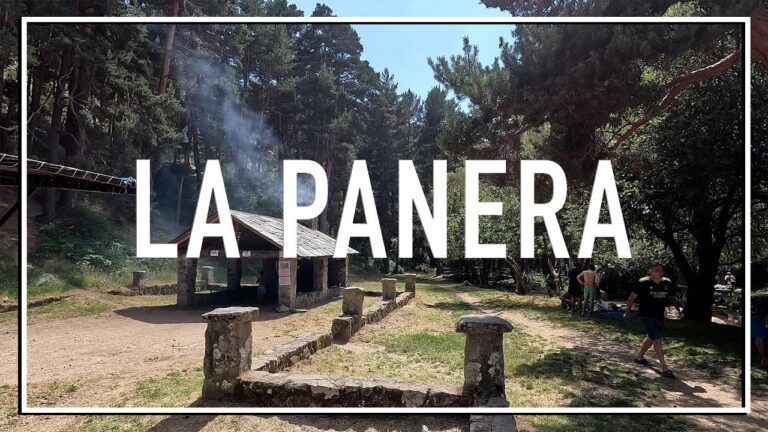 Barbacoa Perfecta en Zonas de Picnic