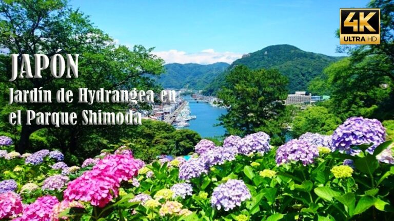 Descubriendo Parques de Exhibición Espacial