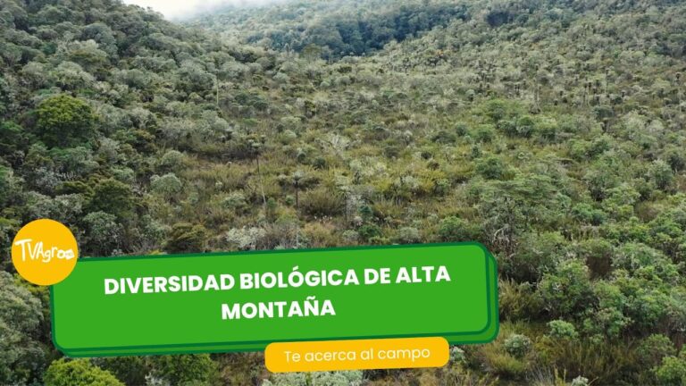 Biodiversidad en Parques Naturales de Monta&ntilde;as