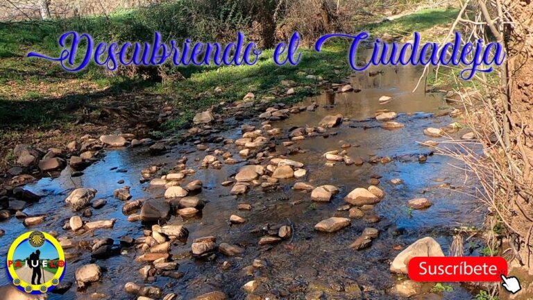 Explorando las &Aacute;reas Recreativas de la Ciudad