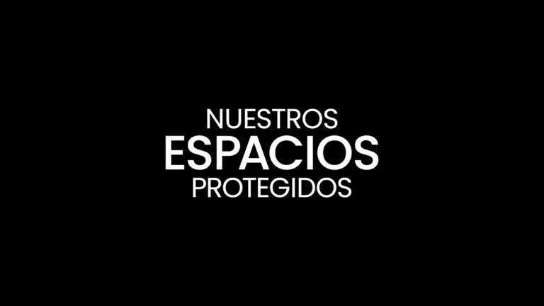 Refugios de Calma en Espacios Verdes