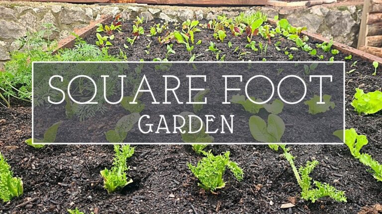 Aprovechamiento Eficiente de Zonas Verdes para Huertas Urbanas