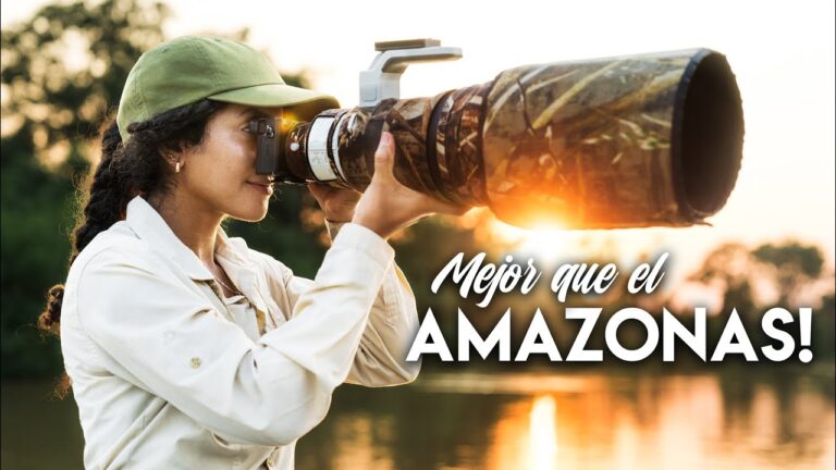 Experiencias de Avistamiento de Aves en Parques Naturales