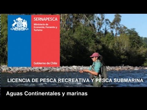 Mejores Zonas de Pesca Recreativa para Licencias