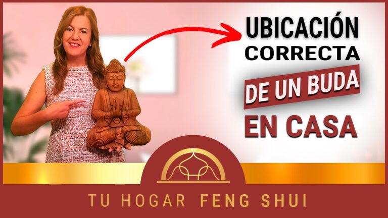 Recarga Energ&iacute;a con Yoga y Meditaci&oacute;n en Parques