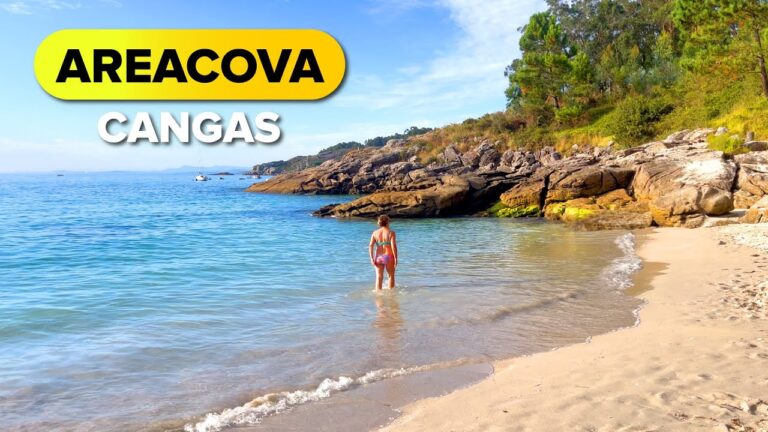 Serenidad en las Playas Tranquilas