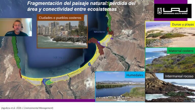Impacto Ambiental en Ecosistemas de Playas y Dunas